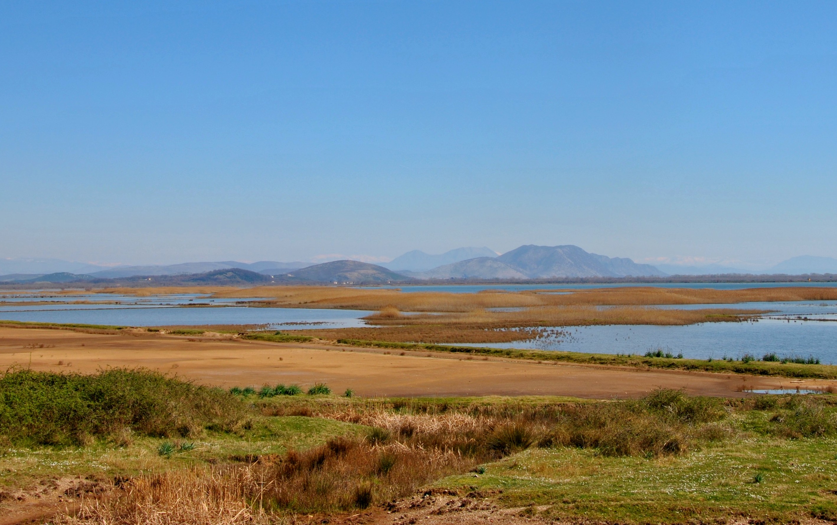 La saline d'Ulcinj est située sur la voie de migration de l'Adriatique
