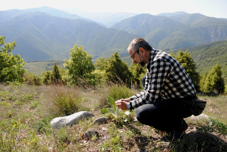 Les gorges de Kresna sont un paradis pour les biologistes @ LS